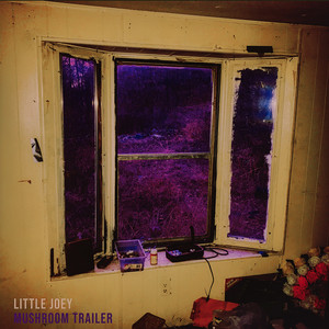 Cookies in the Fellowship Hall