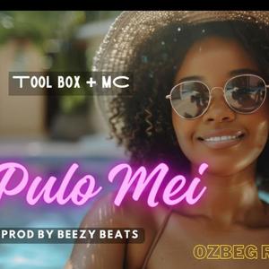 Pulo Mei (feat. Toolbox ft MC)