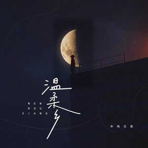 温柔乡 (DJ JUSTING版)封面
