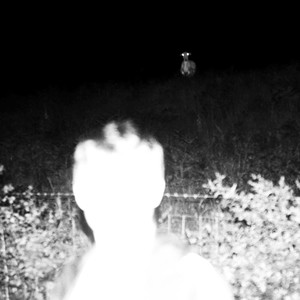 KEBABWEED (Explicit)