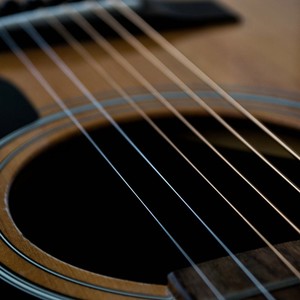 Guitar Comfort Soothing Cats