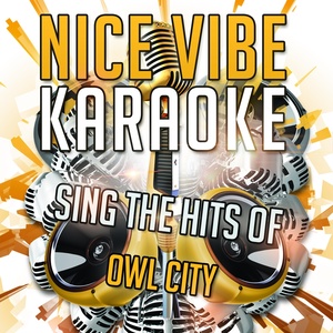 Sing the Hits of Owl City (Karaoke Version)