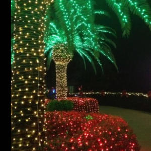 Otw (feat. Duwopp) (Explicit)