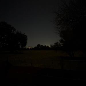 así mueren las flores (en vivo)