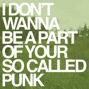 I Don't Wanna Be a Part of Your So Called Punk (Explicit)