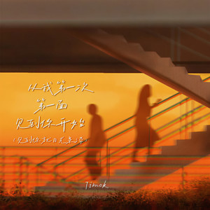 从我第一次第一面见到你开始 (见到你就目光呆滞)