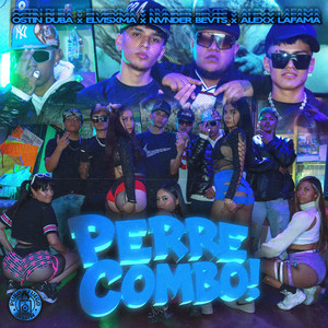 Perrecombo (Explicit)
