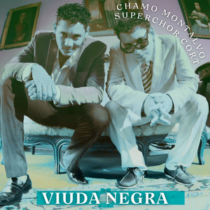Viuda Negra