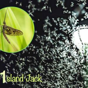 I Had Some Help (Explicit)