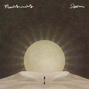Storm (feat. Damion Grey)