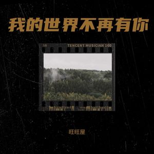 我的世界不再有你