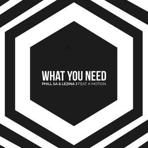 What You Need (feat. K Motion)