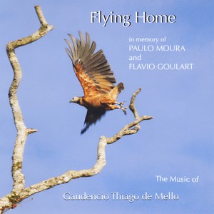 Walking Down the Road(To Michael Gitlin & Noni)[feat. Cesar Machado, Paulo Andre, Dexter Payne, Haroldo Mauro & Paulo Russo]