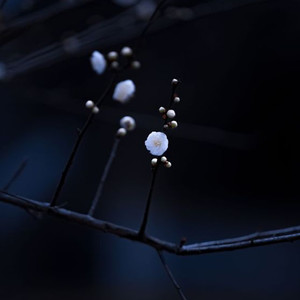 i wanna kiss you / lovegame (sped up) (Explicit)