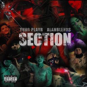 SECTION (feat. Alanblendss) [Explicit]