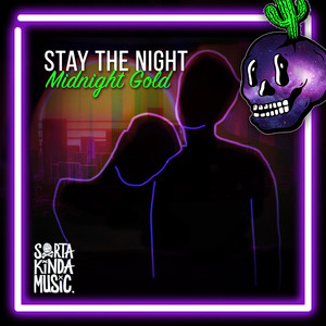 Stay The Night (Extended Mix)