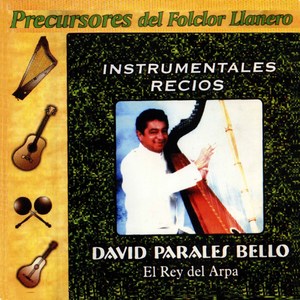 Instrumentales Recios