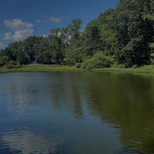 Wrong Timing (feat. luhpesos) (Explicit)