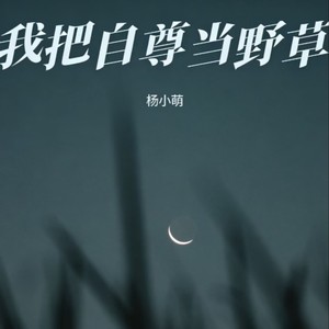 我把自尊当野草