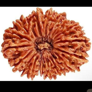 Y yanchi (Radio Edit)