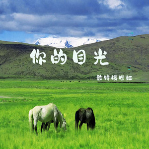 你的目光封面