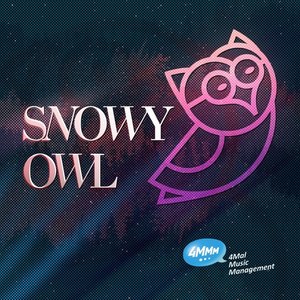 Owl of Snow / No Ilusions