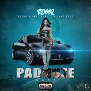 Padhuze neni Neni (feat. Tudoor, Telyno, Dre Young & Allyne Scott)