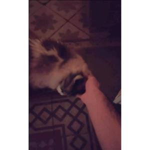 Alivio (Píldora Imperfecta)