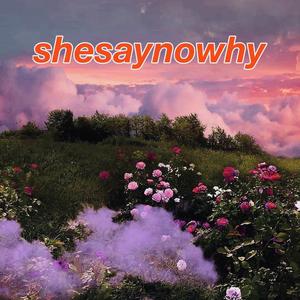 Shesaynowhy