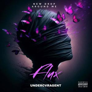 FLUX (Explicit)