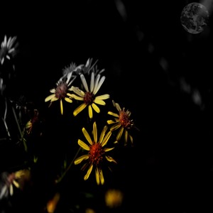 Lost Generation (Original Mix)