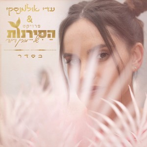 בסדר (פרויקט הסירנות של מורן דוד)