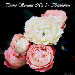 Piano Sonata no. 5 in C minor, Op. 10, no. 1 - Ludwig van Beethoven - Piano Sonata No. 5 in C Minor, Op. 10, No. 1: III. Prestissimo