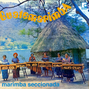 Marimba Seccionada