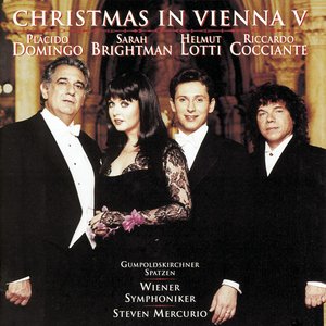 Christmas in Vienna V (维也纳圣诞节 5)
