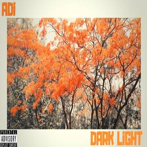 DarkLiGHT (Explicit)