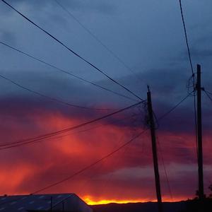 Ungowami (Spotlight) (Young Hustler Remix)