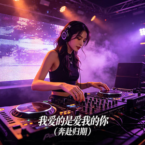 我爱的是爱我的你 (奔赴归期)