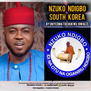 Nzuko Ndi Igbo South Korea