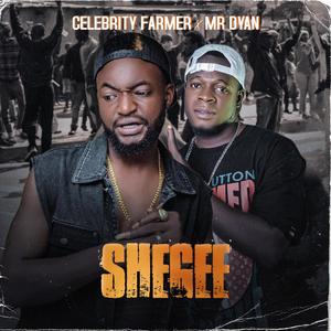 Shegee (feat. Mr Dyan)