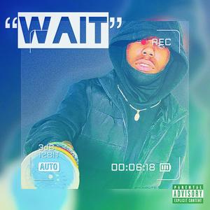 Wait (Explicit)