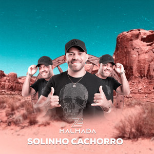 Solinho Cachorro