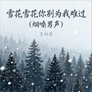 雪花雪花你别为我难过-王向涛