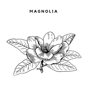 Magnolia (Explicit)