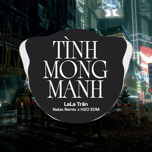 Tình Mong Manh (EDM)