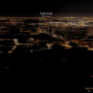 Night Walk V