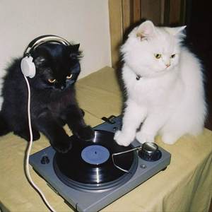 不会再无条件的对你好