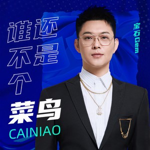 谁还不是个菜鸟封面