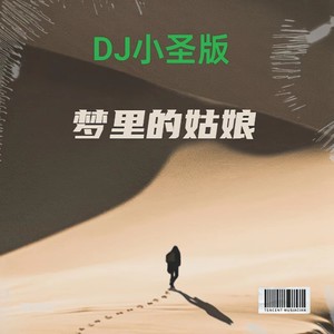 梦里的姑娘 (DJ小圣版)