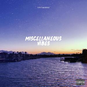 Miscellaneous Vibes (Explicit)